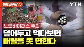 [에디터픽] 식중독 주의…겨울철 불청객 '노로바이러스'의 모든 것 / YTN