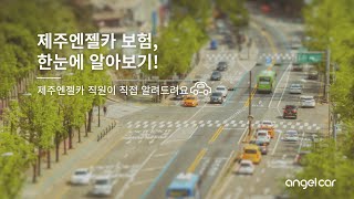 [엔젤카, 리뷰왕을 찾아라] ep. 2 제주엔젤카 렌트하기 전 보험 한눈에 알아보기! | 2대 리뷰왕은?!