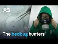 Europe's fight against blood-sucking bedbugs | DW Documentary