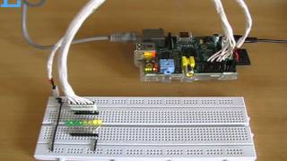 Shell Script Multitasking on Raspberry Pi