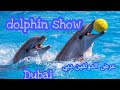 عرض الـ دولفين | عرض الدلافين دبي   dolphin show in dubai 🐬🐬