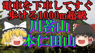 青梅線を下車してすぐ歩ける1000m超級！【川苔山・本仁田山】を紹介。