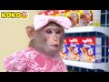 monkey koko go swimming and try watermelon ice cream at waterpark kudo koko channel