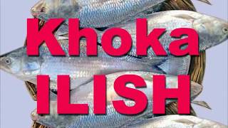 khoka ilish