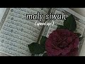 maly siwak (speed up)|| beautiful nasheed