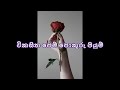 Vikasitha Pem Pokuru Piyum / විකසිත පෙම් පොකුරු පියුම්.. / W.D Amaradewa Song