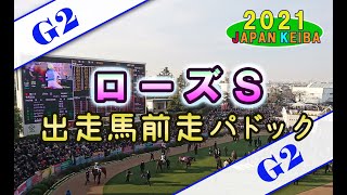 【競馬パドック】ローズＳ・前走パドック（2021年）