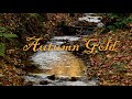 Autumn Gold  *My music number twenty*