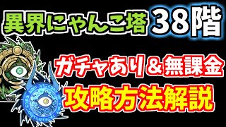 【にゃんこ大戦争】異界にゃんこ塔38階をガチャあり＆無課金キャラで簡単攻略！【The Battle Cats】