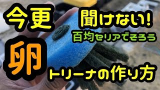 メダカ産卵床を作ろう！百均セリアで素材は揃う！すぐに作れる！どんどん作ろう！【楽めだか】初心者におすすめ、まずはコレで卵を取っていきましょう。タマゴトリーナ　採卵しよう！