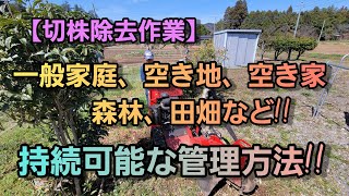 【茨城県笠間市】【庭木の手入れ】【切株除去】【空き家、空き地の手入れ】