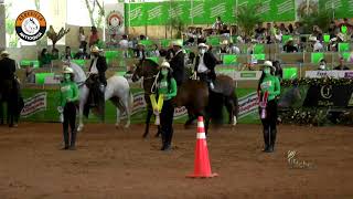 GAROTA DE POZO BLANCO, QUINTO PUESTO YEGUAS MA62 EXPO INTERNACIONAL EQUINA FERIA DE LAS FLORES 2021