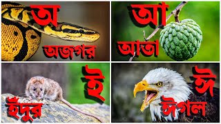 অ-তে অজগর, আ-তে আতা | Bengali Alphabet