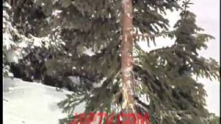 Extreme Tree Huggers! Skier Hitting and Hurting Tree!!