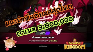 Cookie Run Kingdom เเนะนำทีมตีมังกรบอสกิลด์ ดาเมจรอบละ 3ล้าน8เเสน