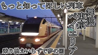 【舞浜東京ベイエリア号！】便利なのに超空いてる！茨城から乗り換えなしの快速でディズニーへ行こう