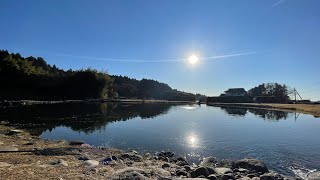 【エリアトラウト】2021.02.13 菊地養魚場 (Trout fishing in Kikuchi fish farm)【スローライフ】