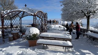 Snow walk Zurich mountain Uetliberg ❄️ 4K winter walking tour 2024 🇨🇭 Switzerland