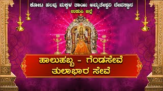 || KOTA HALAVU MAKKALATHAI AMRUTHESHWARI DEVASTHANA, UDUPI || HAALUHABBA - GENDASEVE, TULABHARA ||