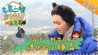 《老袁二姐带娃记》之萌宠篇第1期：八戒秒变“野蛮狗”遭张歆艺实力嫌弃 【湖南卫视官方频道】