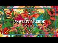 Green Velvet - Answering Machine (Prok & Fitch Remix)