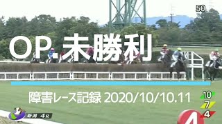 障害レース記録 2020/10/10.11 OP·未勝利 #競馬#障害レース