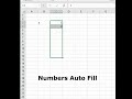 Excel AutoFill