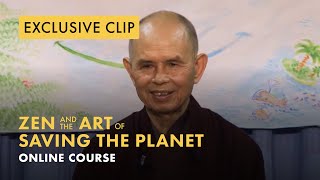 Thich Nhat Hanh: “The Earth is in you”