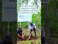 di hari lingkungan hidup csr bri luncurkan program bri menanam grow u0026 green