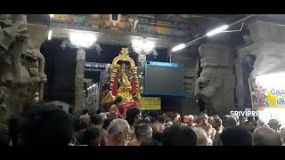 Srivilliputhur Sri Andal Nachiyar Temple Sri Vadabhatrasayan . Pagal pattu Utsavam day 1 31/12/2024