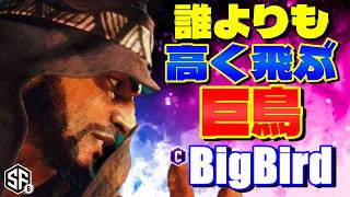 【スト6】誰よりも高く飛ぶ巨鳥 BigBird (ラシード) 【STREET FIGHTER 6】