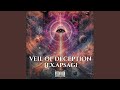 VEIL OF DECEPTION