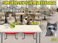 当局领导遇到贫困生 万万没想到 猫meme 紫菜汤 猫meme小剧场