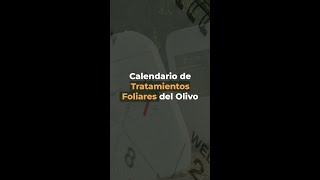 Olive Tree Foliar Treatment Calendar