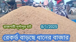 8/1/2025, রেকর্ড বাড়ছে ধানের পাইকারি বাজার দর | রাজশাহী দূর্গাপুর হাট। Paddy market