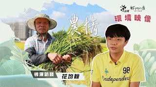 【環境映像】農情｜導演訪談：花均翰(我們的島 第1264集 2024-07-15)