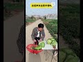 youtube short video 🥱🥱viral video🥵🥵