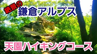 天園ハイキングコースで歩く鎌倉アルプス！