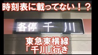 東急東横線　「千川」行き　接近放送