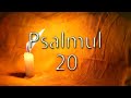 Psalmii PROSPERITATII 3, 17, 20  Biblia  Vechiul Testament  Carti Audio  Poezii, Proza, Psalmi