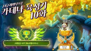 염원하던 구 만렙 달성, 검마까지 카데나 육성기 10화【메이플】