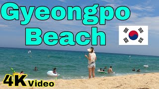 [4K] Dila Tv - Gyeongpo Beach ⛱ In The Summer Holiday | East Sea | Emerald Beach In South Korea