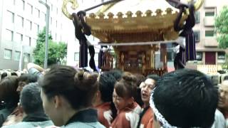 2014年　四谷須賀神社３８０年祭　本社神輿　新宿通り渡御