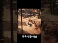 데미지 두배 손맛 좋네ㅋㅋ 배틀필드5 battlefield5 shorts