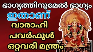 അതി ശക്തിയാർന്ന ഒറ്റവരി വാരാഹി പവർഫുൾ മന്ത്രം! ഇനി ജീവിതം രക്ഷപ്പെടും !Varahi power full mantram 🔥