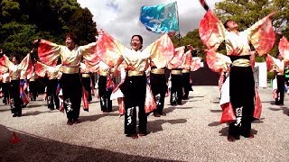 大分大学 獲天  第１４回太宰府門前真舞祭