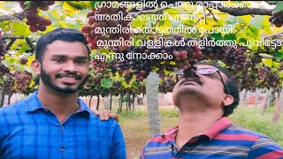 Namukku parkkan munthirithoppu/Kambam grapes farm