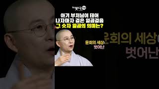 아기부처님이 태어나자마자 걸은 일곱걸음. 그 숫자 일곱의 의미는? | 원영스님 불교대백과 6-5 | 부처 탄생계 신 천상 윤회 세계관 왜 절대 존재 깨달음 무아 천상천하 유아독존