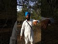 asi oh punjabi ha ਅਸੀਂ ਉਹ ਪੰਜਾਬੀ ਹਾਂ by amarjit singh khukhrana