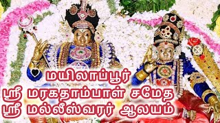 Mylapore Sri Malleeswarar Temple | மயிலாப்பூர் அருள்மிகு மல்லீஸ்வரர் ஆலயம்